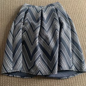 Joe B Blue and White Detailed Skirt